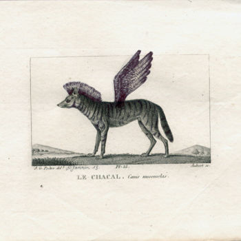 Disegno intitolato "Le Chacal" da Patrick Jannin, Opera d'arte originale, Altro