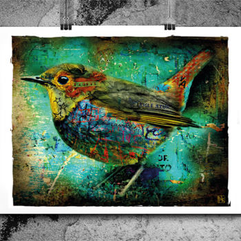 Digital Arts titled "Birdy Street" by Pk Z, Original Artwork, Digital Painting