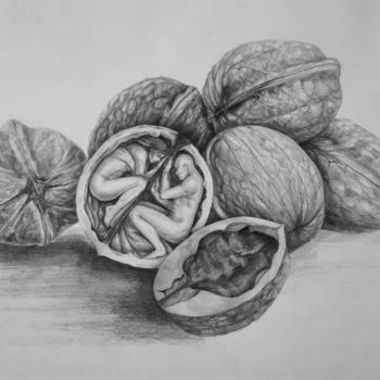 Drawing titled "The wall/nut" by Plamnah, Original Artwork, Pencil