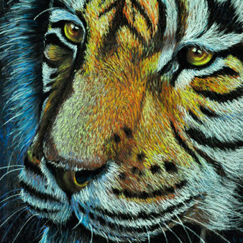 Dessin intitulée "The Tiger" par Pascal Lampecco, Œuvre d'art originale, Pastel