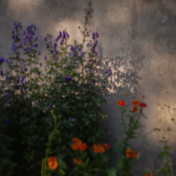 Fotografie getiteld "The secret garden" door Kseniia Poliak, Origineel Kunstwerk, Niet gemanipuleerde fotografie