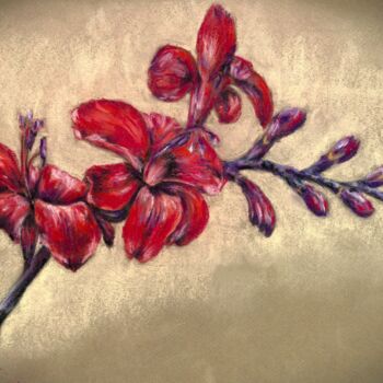 Desenho intitulada "Red Crocosmia Flowe…" por Polina Turgunova, Obras de arte originais, Pastel