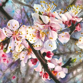 Pintura titulada "Cherry Blossoms" por Polina Turgunova, Obra de arte original, Acuarela