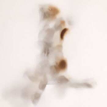 Painting titled "Squirrel (painting…" by Poly, Original Artwork, Charcoal Mounted on Other rigid panel