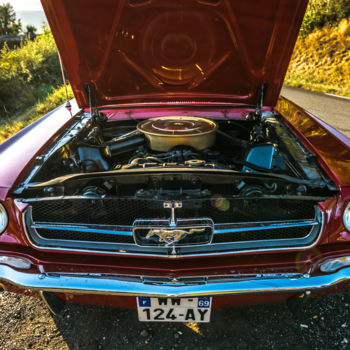 Photographie intitulée "Naked Mustang" par Polygone, Œuvre d'art originale