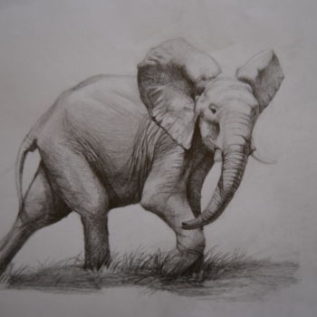 Drawing titled "Elephant" by Pedro Portela, Original Artwork, Pencil