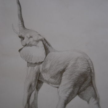 Рисунок под названием "Elephant" - Pedro Portela, Подлинное произведение искусства, Карандаш