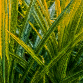Цифровое искусство под названием "Grass aber kein Wei…" - Sigrid Gombert, Подлинное произведение искусства, Цифровая живопись