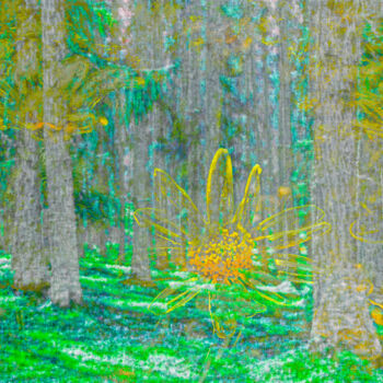 Digitale Kunst mit dem Titel "Trees can I hold you" von Sigrid Gombert, Original-Kunstwerk, Digitale Malerei