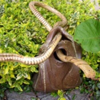 Sculpture intitulée "Serpents" par Johnluca, Œuvre d'art originale, Céramique