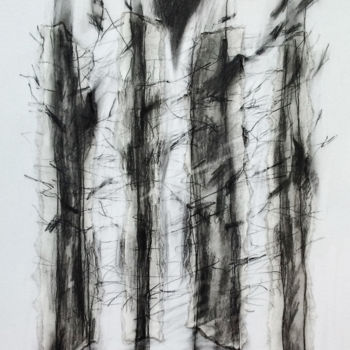 Collages intitulée "desde el bosque" par Pablo Quert, Œuvre d'art originale, Conté