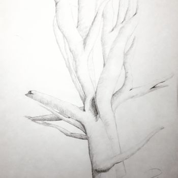 Drawing titled "Montseny" by Practica Diy, Original Artwork, Pencil