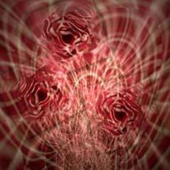 Grafika cyfrowa / sztuka generowana cyfrowo zatytułowany „roses” autorstwa Preeta Gopalswami, Oryginalna praca