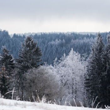 "Winter landscape" başlıklı Fotoğraf Dimitri Propp tarafından, Orijinal sanat, Dijital Fotoğrafçılık
