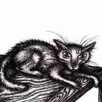 Dibujo titulada "Ratty Cat Chillin o…" por Punit Vaidya, Obra de arte original, Otro