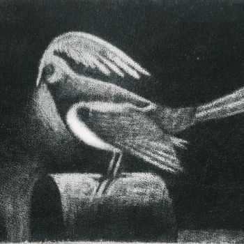 印花与版画 标题为“The shirdwing” 由Vjacheslav Illjashenko, 原创艺术品, 蚀刻