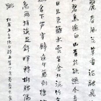 「齐光宏书法作品115」というタイトルの絵画 光宏 齐によって, オリジナルのアートワーク, 中国の書道