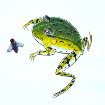 Peinture intitulée "la grenouille verte" par Kevin Bolliet, Œuvre d'art originale