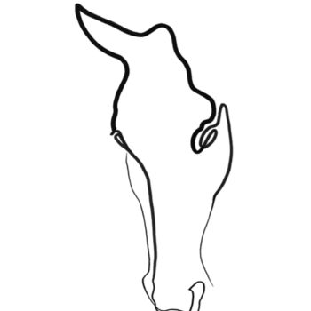 Tekening getiteld "cheval" door Quibe, Origineel Kunstwerk, Inkt