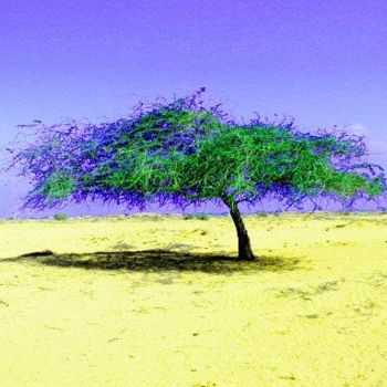 Digital Arts titled "Tree 2" by Bill Hunt, Original Artwork