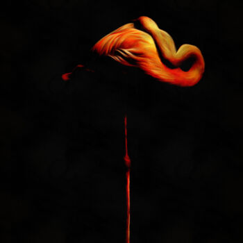 Arte digitale intitolato "flamingo 1 - flamant" da R.W.Born, Opera d'arte originale, Fotografia manipolata