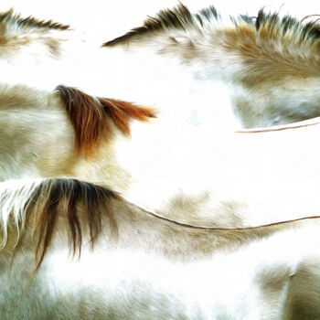 Arts numériques intitulée "horse landscape - P…" par R.W.Born, Œuvre d'art originale, Photographie manipulée