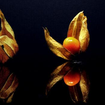 Photography titled "physalis" by R.W.Born, Original Artwork, Digital Photography