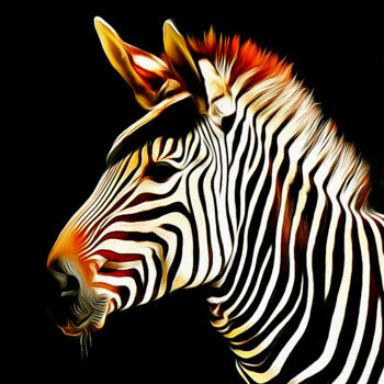 Fotografie getiteld "Zebra - zèbre" door R.W.Born, Origineel Kunstwerk, Digitale fotografie