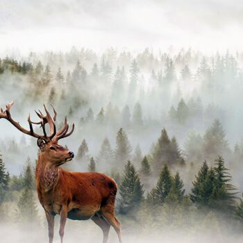 Arts numériques intitulée "Deer. Winter." par Radiy Bohem, Œuvre d'art originale, Photo montage