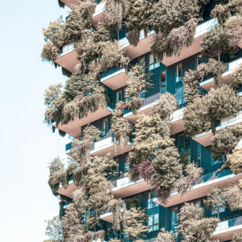 Фотография под названием "Vertical Forest, Bo…" - Radu Bercan, Подлинное произведение искусства, Цифровая фотография