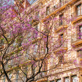 Фотография под названием "Purple Flowers Tree…" - Radu Bercan, Подлинное произведение искусства, Цифровая фотография