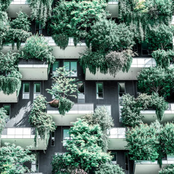 Photographie intitulée "Bosco Verticale, Bu…" par Radu Bercan, Œuvre d'art originale, Photographie numérique