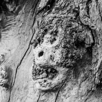 Fotografia intitulada "Father Tree" por Radu Ilie, Obras de arte originais, Fotografia digital