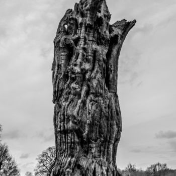 Fotografie mit dem Titel "Nature's sculpture" von Radu Ilie, Original-Kunstwerk, Digitale Fotografie
