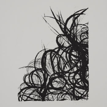 Incisioni, stampe intitolato "Sem título, 2017." da Rafaela Antunes, Opera d'arte originale, Litografia