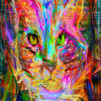 Painting titled "Psychedelic Cat" by Rafael Salazar, Original Artwork, Oil