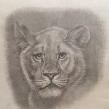 Drawing titled "Lion" by Constantine, Original Artwork, Pencil