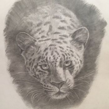 Drawing titled "Leopard" by Constantine, Original Artwork, Pencil