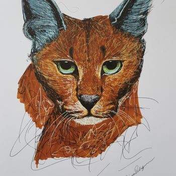 Disegno intitolato "Caracal cat" da Raissa Levati Pelegrim, Opera d'arte originale, Biro