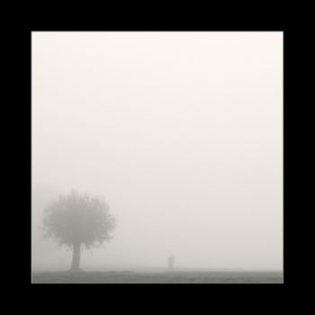 Φωτογραφία με τίτλο "Boom in de mist" από Raldi Somers, Αυθεντικά έργα τέχνης