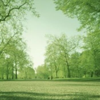 Photography titled "Kensington Gardens" by Raldi Somers, Original Artwork