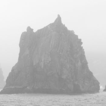 「Snares Islands」というタイトルの写真撮影 Raldi Somersによって, オリジナルのアートワーク