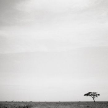 Fotografía titulada "Lonely tree" por Raldi Somers, Obra de arte original