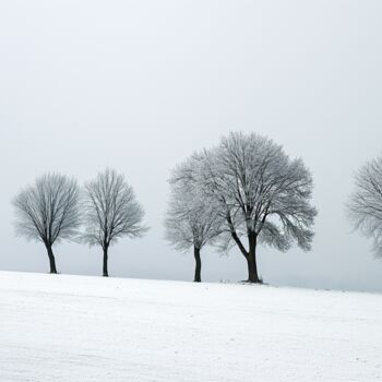 Digitale Kunst getiteld "Winter landcsape 1" door Ramona Gliga, Origineel Kunstwerk, Digitale collage