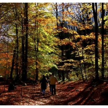 Fotografía titulada "Paisaje 16" por Ramon Oliveras, Obra de arte original