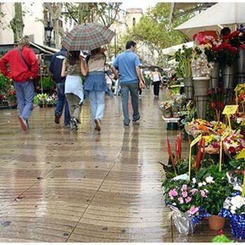 Fotografía titulada "Ramblas 12" por Ramon Oliveras, Obra de arte original