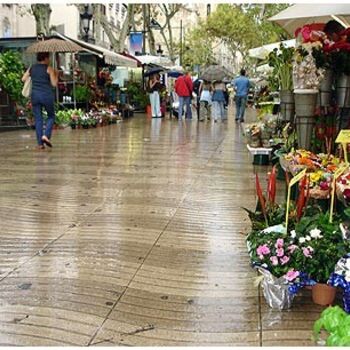 "Ramblas 13" başlıklı Fotoğraf Ramon Oliveras tarafından, Orijinal sanat