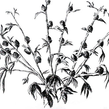 Drawing titled "ink flowers drawing…" by Raphael Perez, Original Artwork, Ink