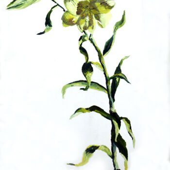 Pittura intitolato "White lily oil pain…" da Raphael Perez, Opera d'arte originale, Olio