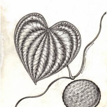 Drawing titled "Air potatoe Dioscor…" by Raphael Gottlieb, Original Artwork, Other